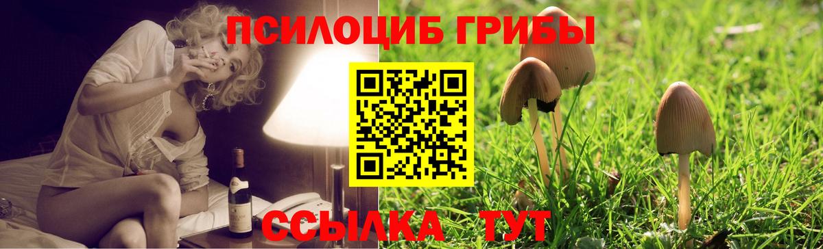 Галлюциногенные грибы мухоморы Каспийск